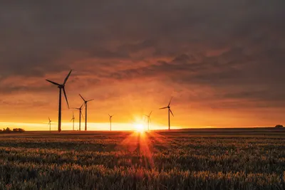 Molinos de viento al atardecer