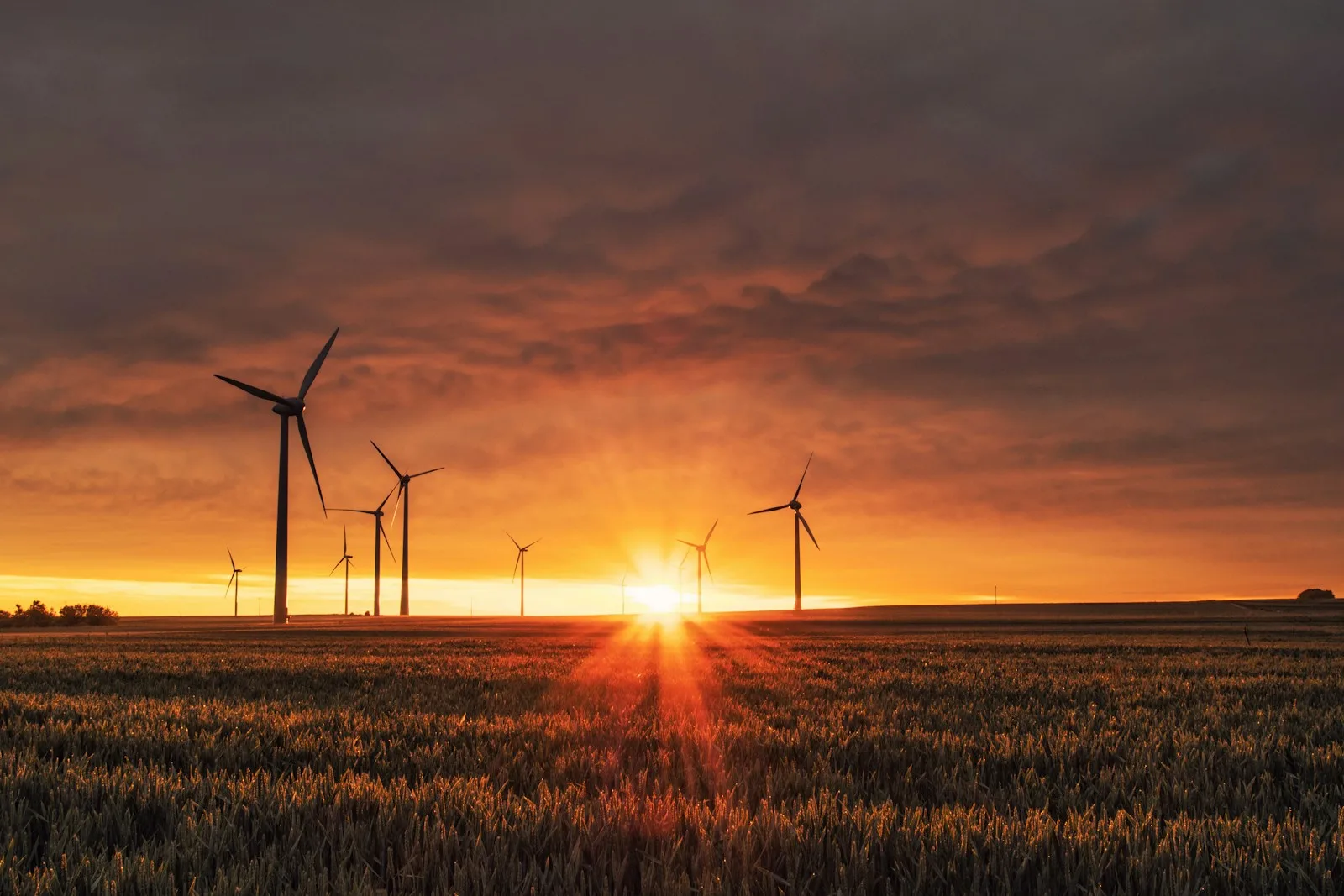 Molinos de viento al atardecer